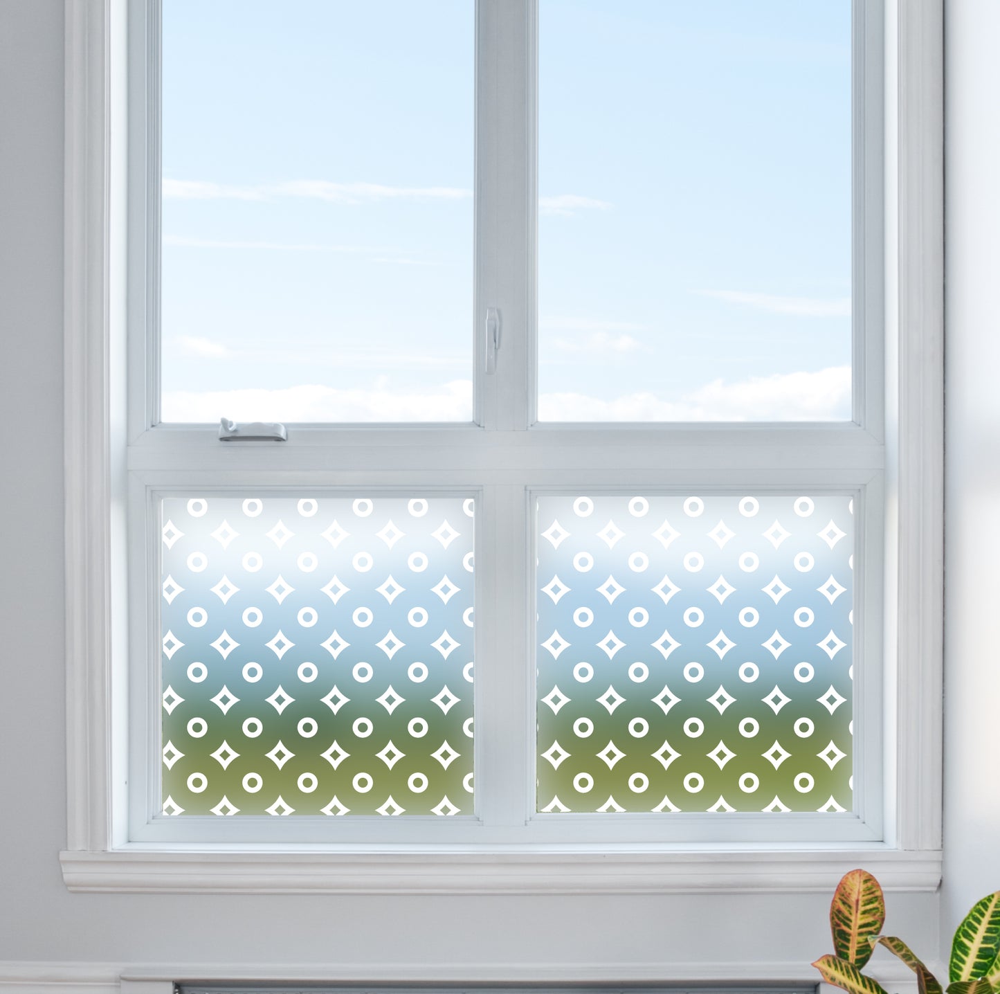 Circles & Point Stars Decorative Frosted Window Privacy Film