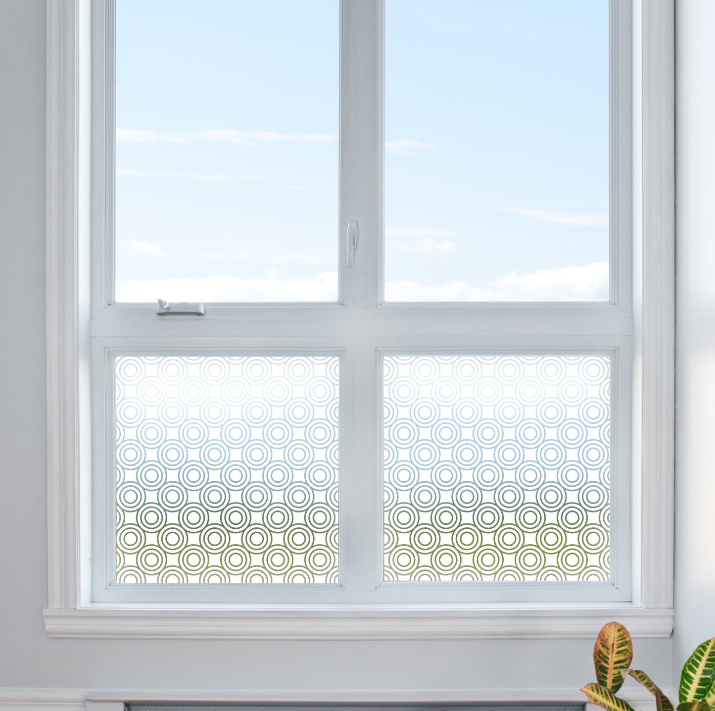 Circle Outline Spots Privacy Frosted Window Film