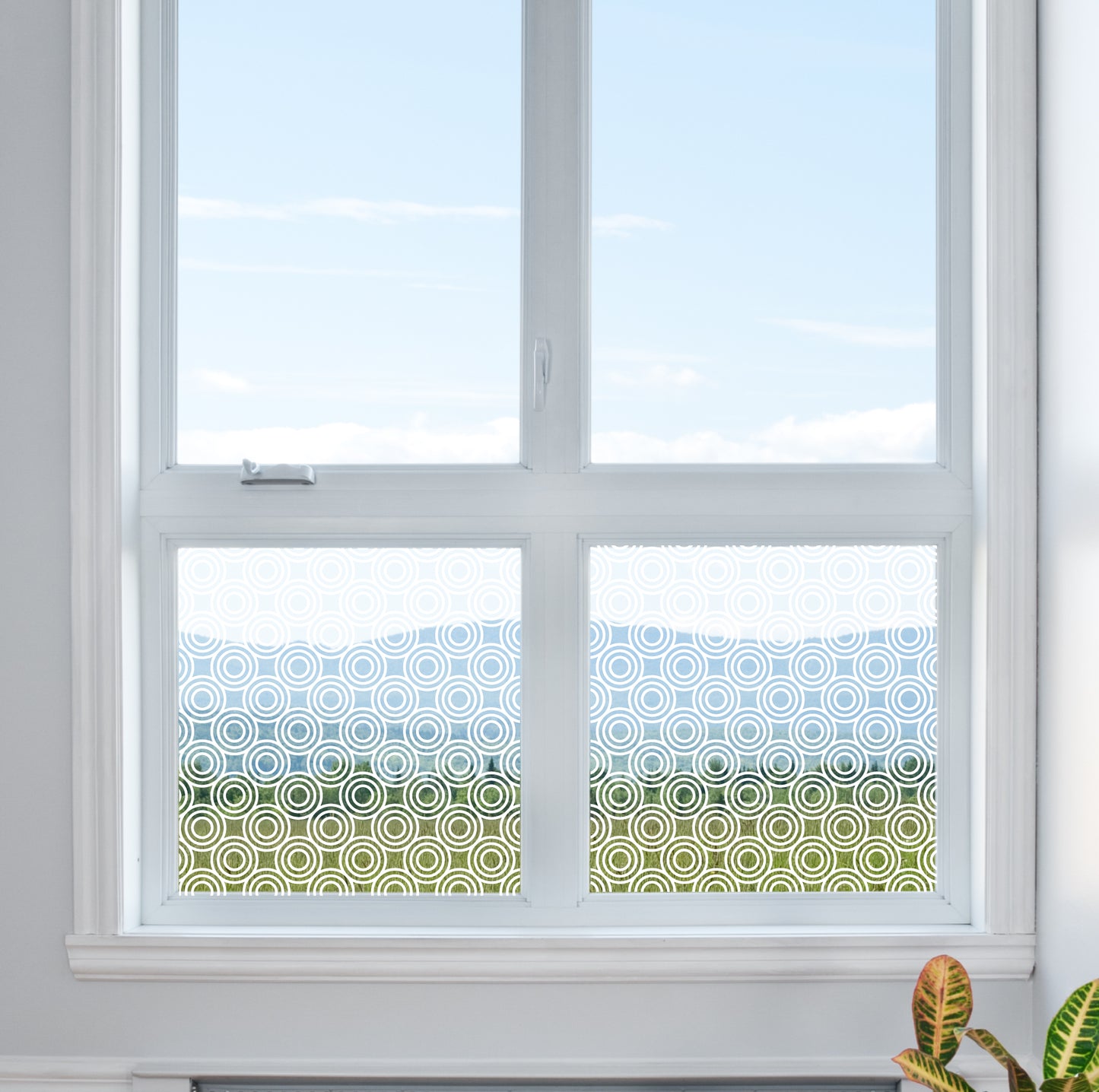 Circular Pattern Clear Window Privacy Glass Film