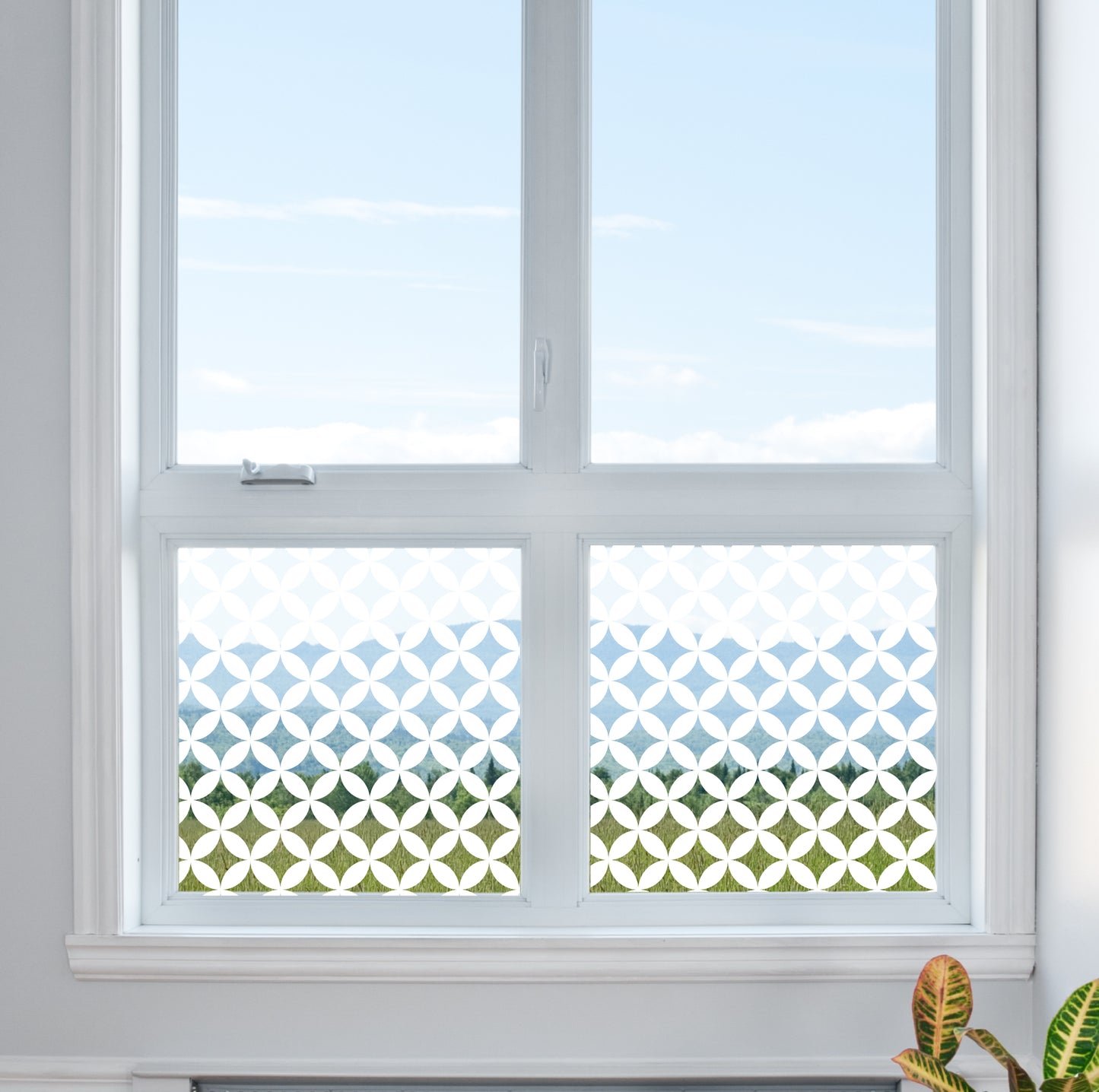 Circle Quarters Clear Privacy Window Glass Film