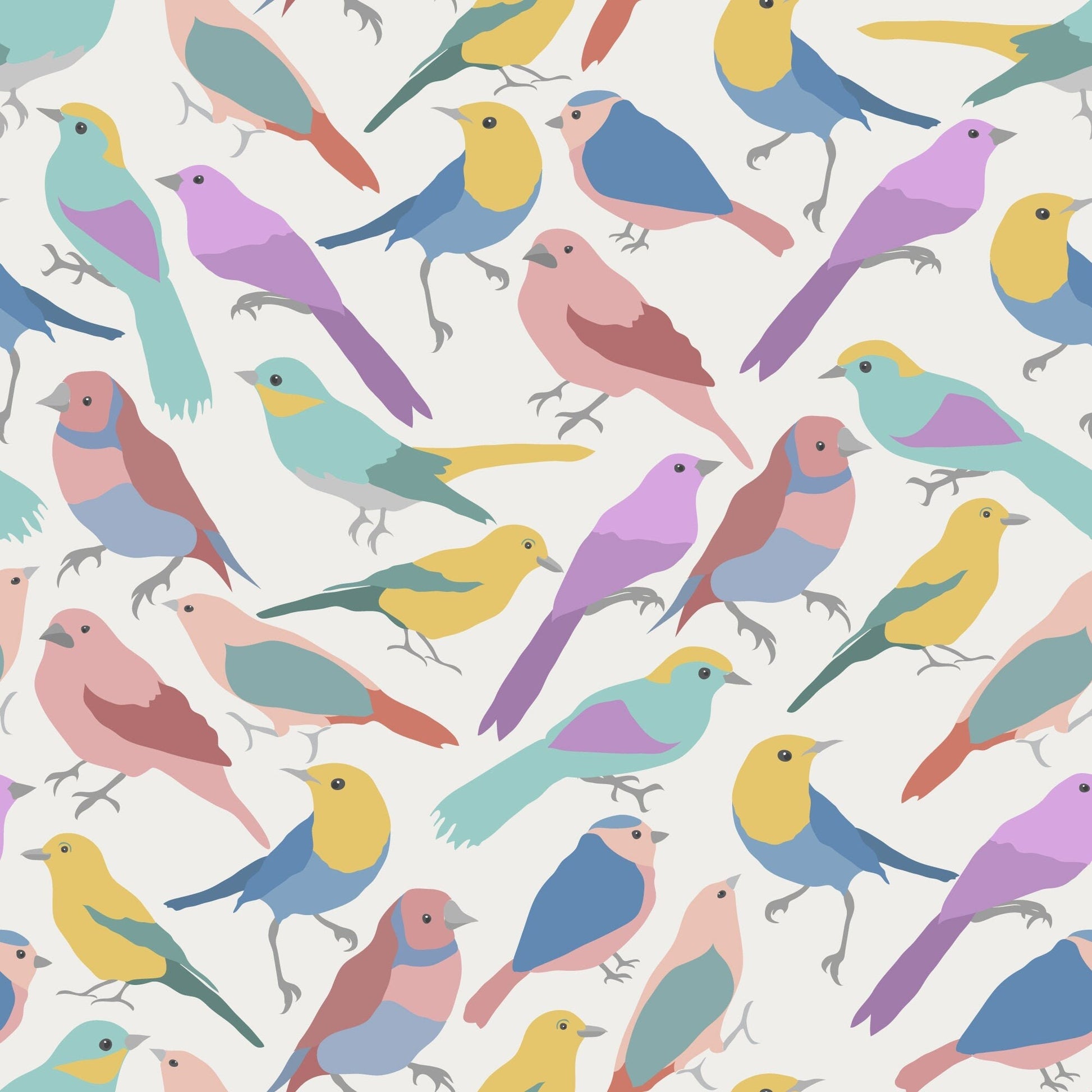 Colourful Birds Vinyl Sticker Wrap