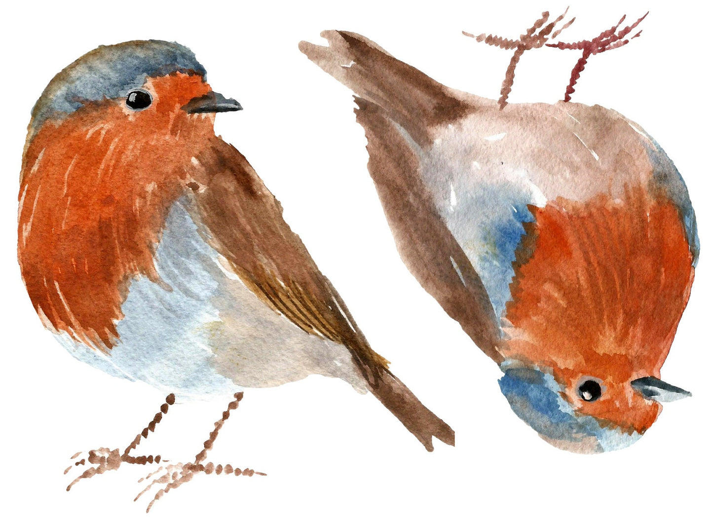 Christmas Window Stickers, Robin Window Decalsm, Watercolor Christmas Stickers, Xmas Decorations, Christmas Decorations, Robins