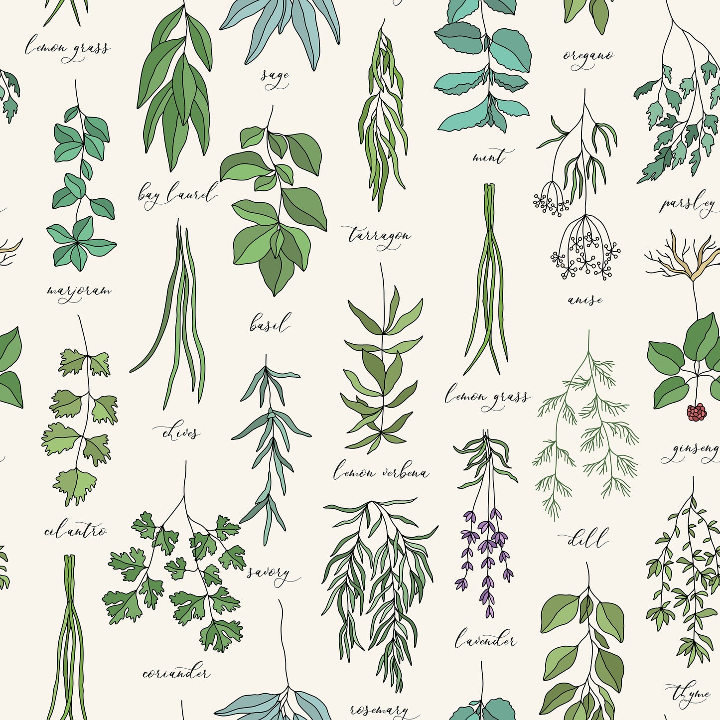 Colour Herbs Chart Self Adhesive Vinyl