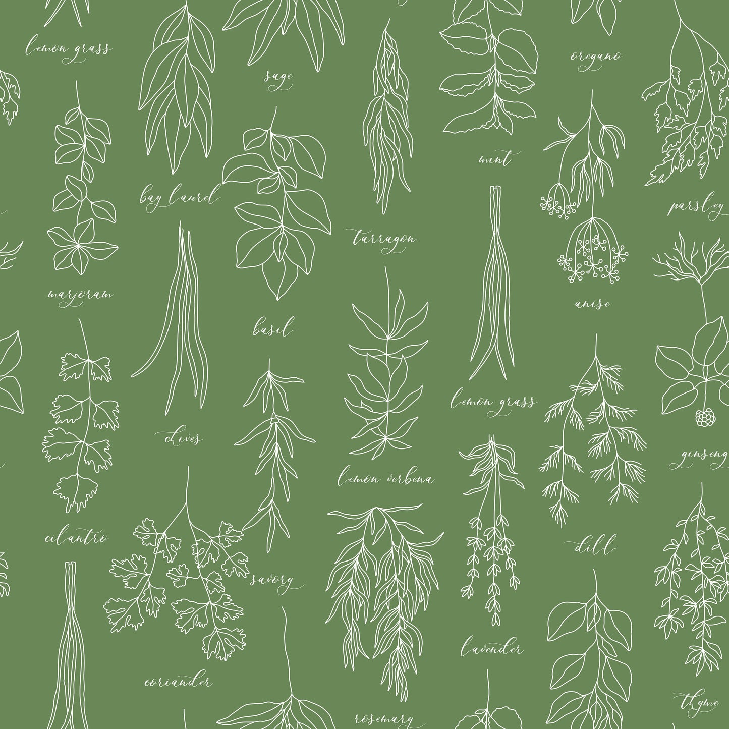 Green/White Herbs Chart Self Adhesive Vinyl