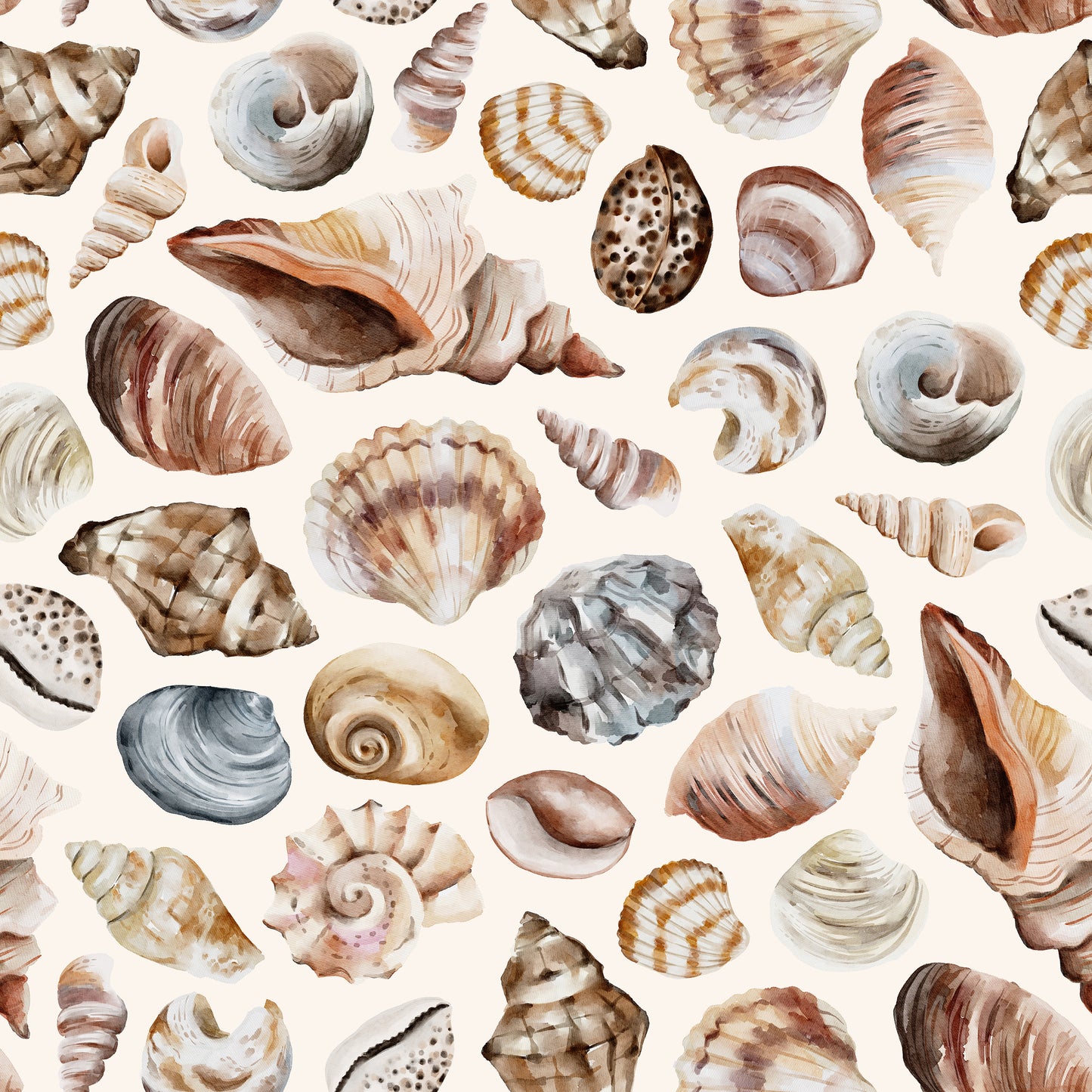 Sea Shells Conch Clam Mussel Self Adhesive Vinyl