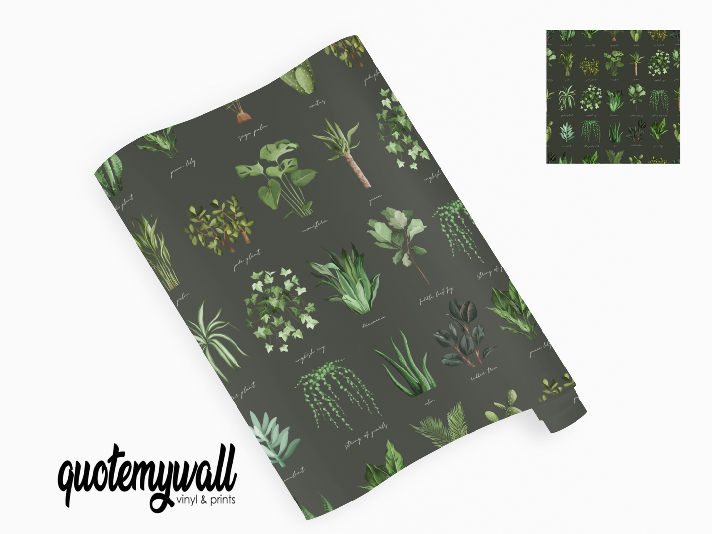 Dark Green Plant Names Identifier Chart Vinyl Furniture Wrap