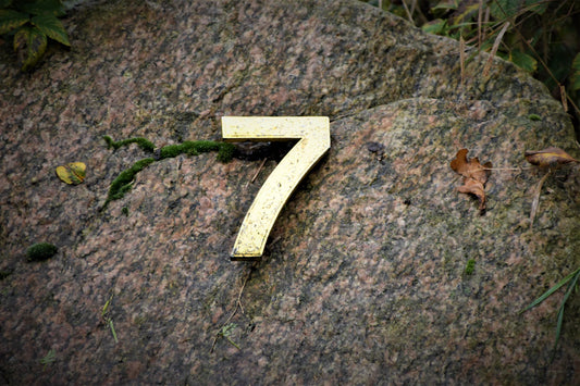The Critical Role of House Number Signs in Emergencies