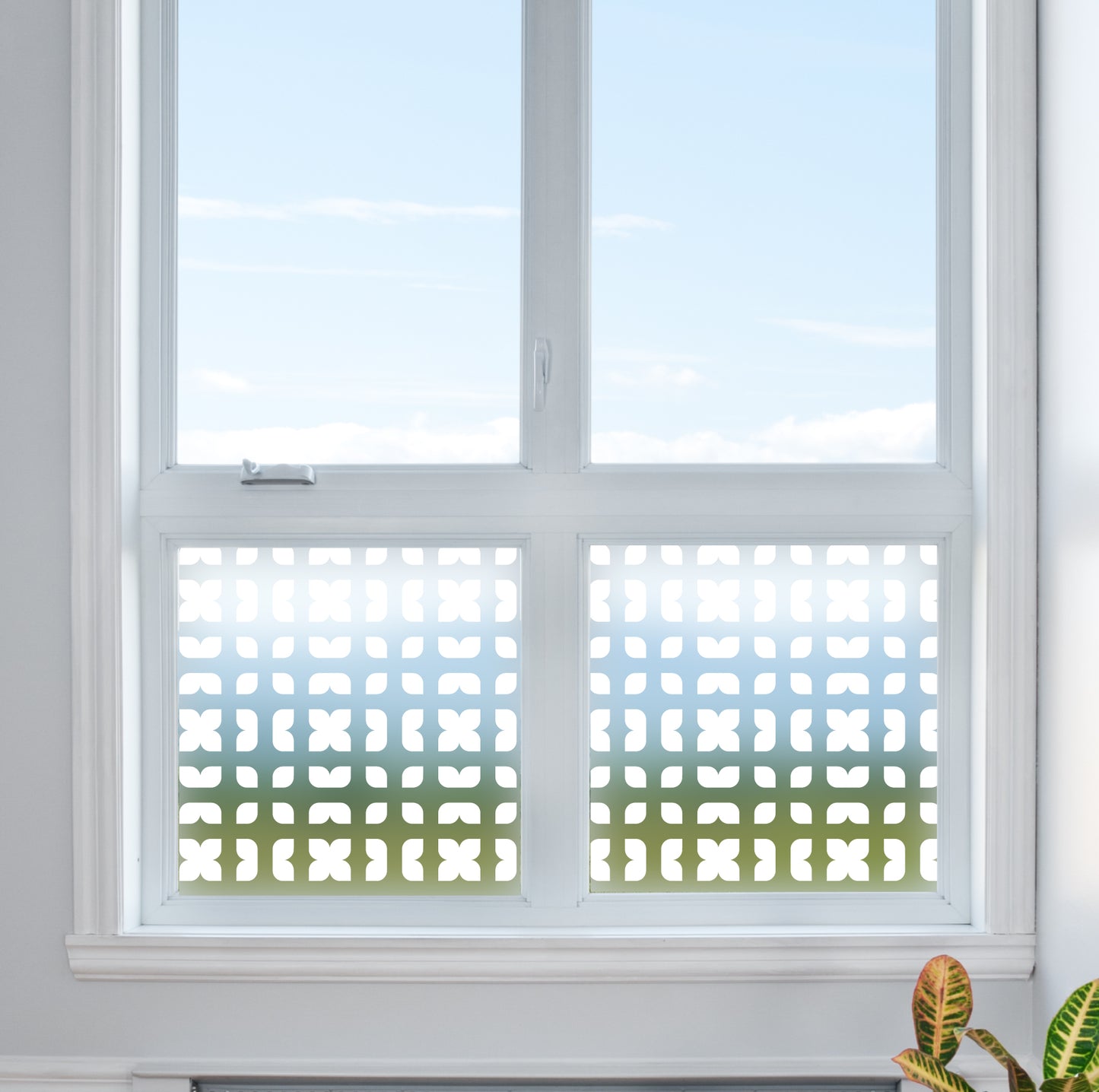 Petal Design Frosted Glass Film