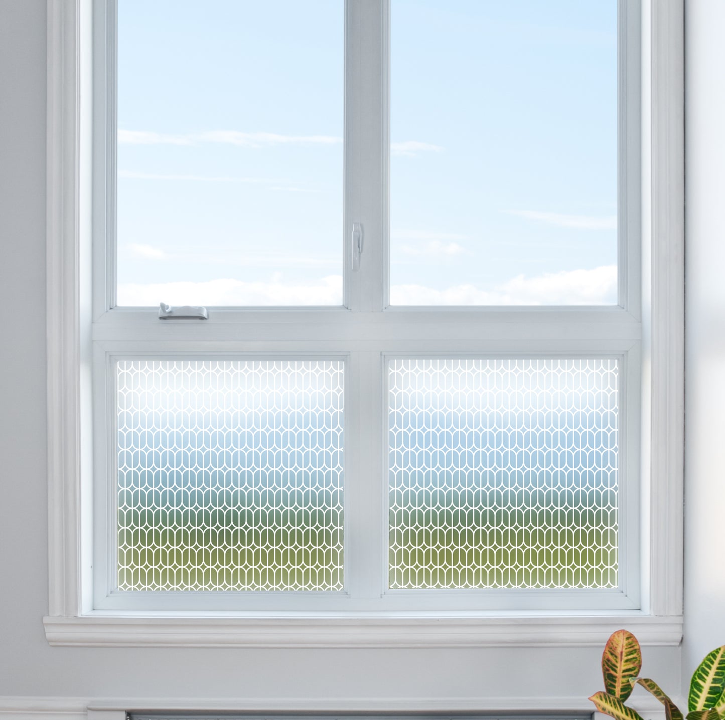 Oval Print Privacy Frosted Window Film