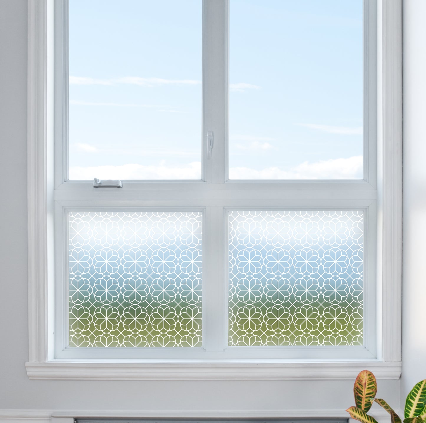 Flower Fine Outline Privacy Frosted Window Film