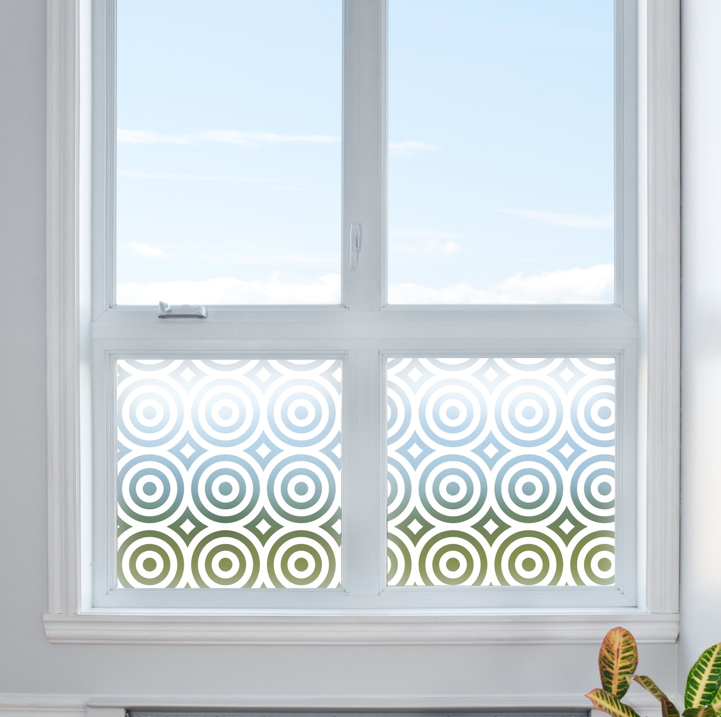 Target Circles Frosted Window Privacy Film