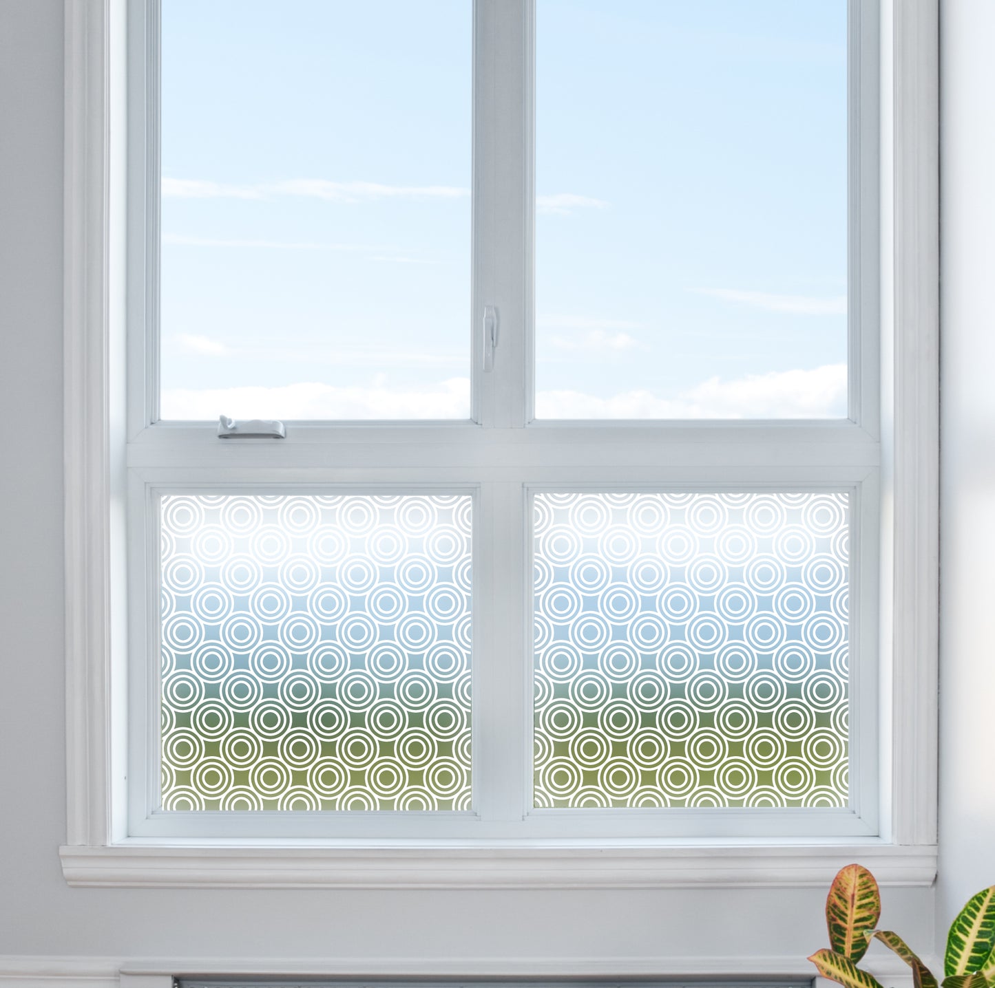 Circular Pattern Frosted Window Privacy Glass Film