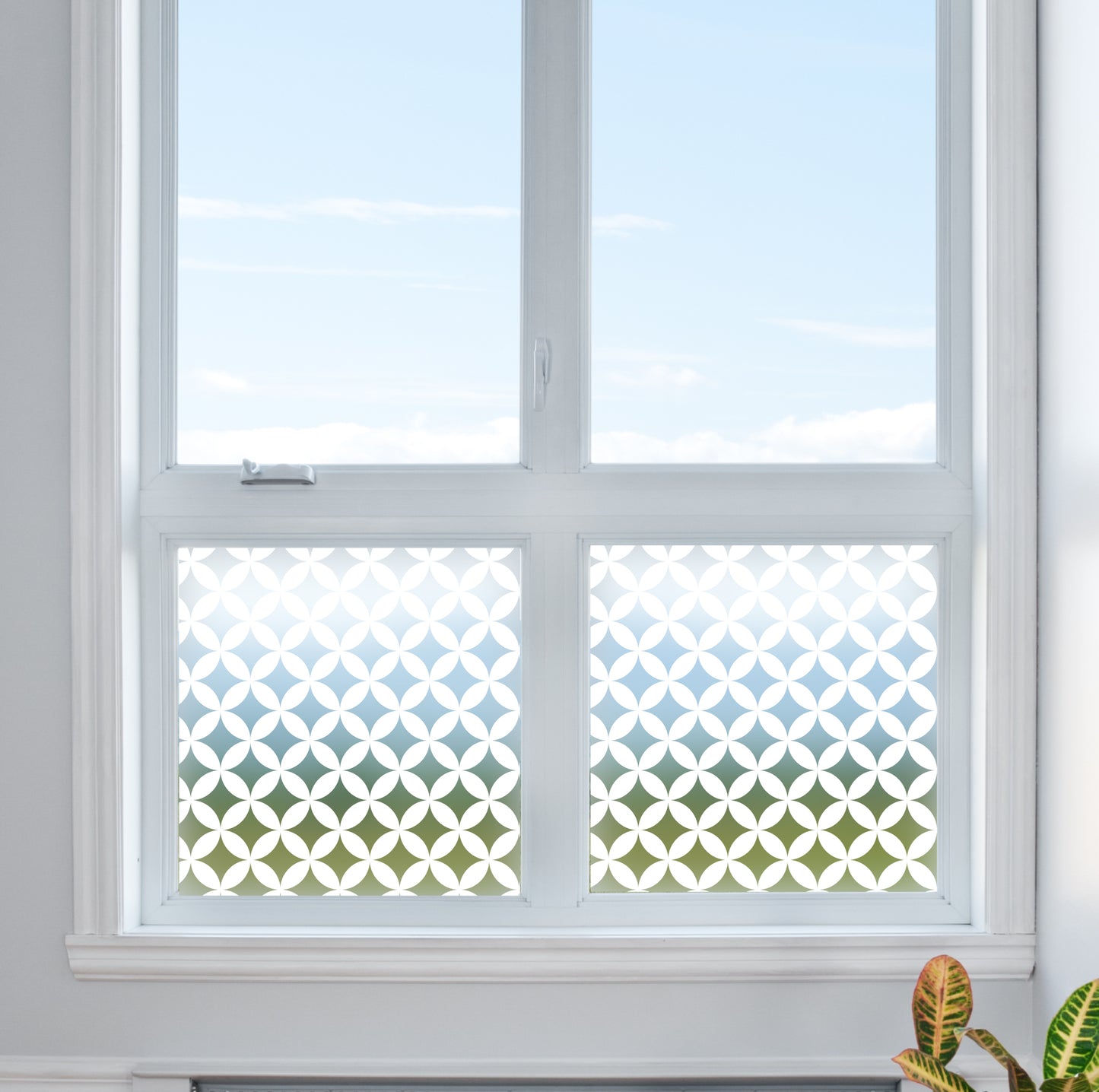 Circle Quarters Frosted Glass Film