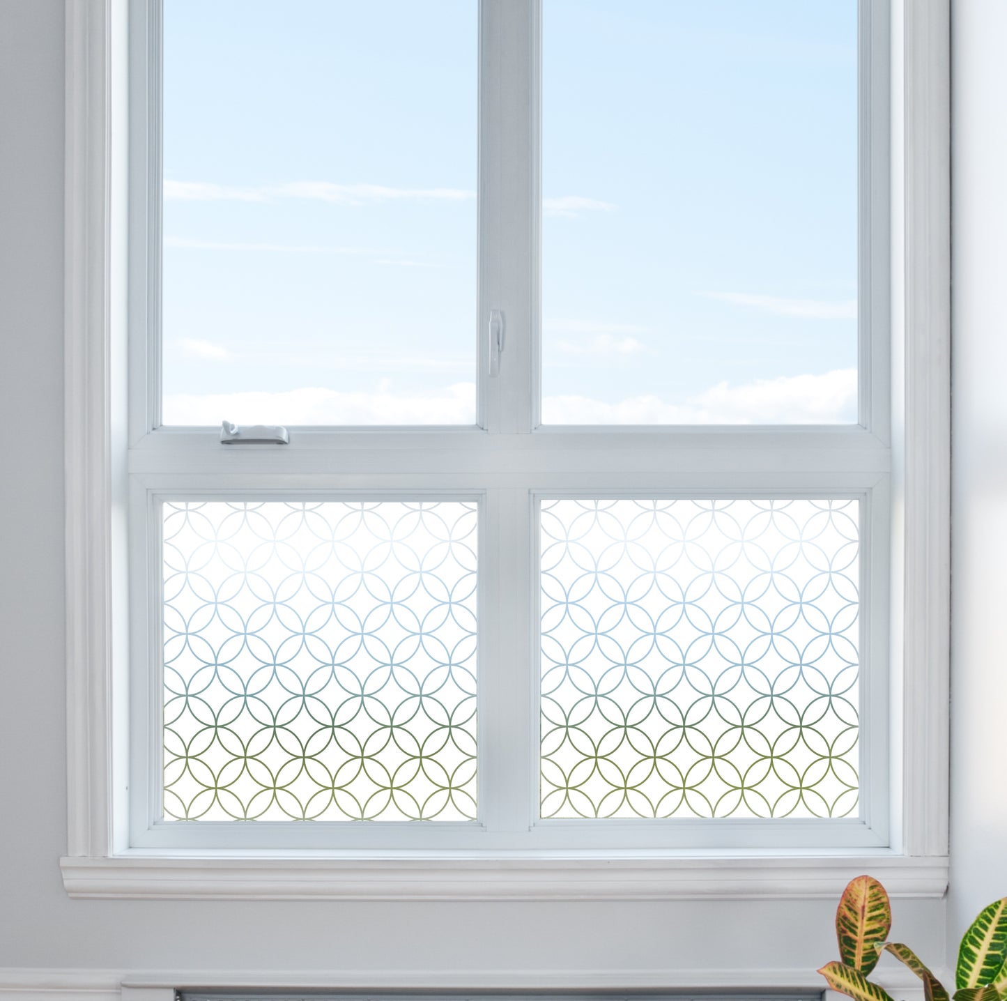 Outline Circle Quarters Frosted Window Privacy Film
