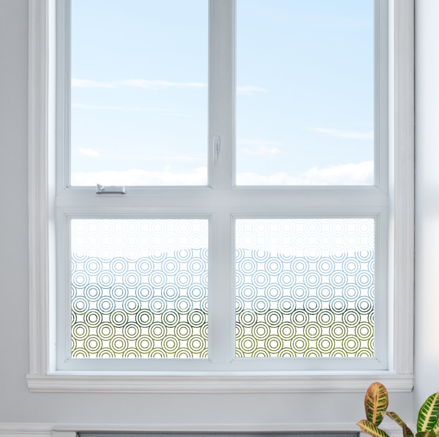 Circle Outline Spots Privacy Clear Window Film