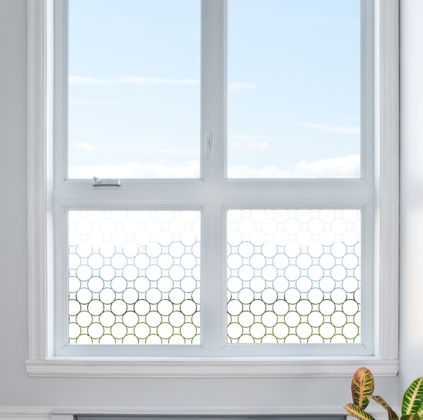 Round Circle Disc Pattern Clear Static Cling Window Privacy Film