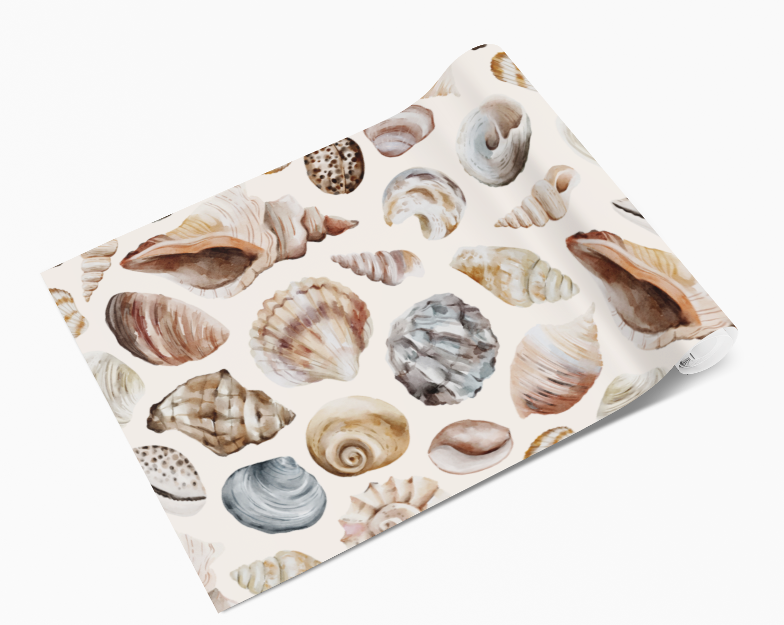 Sea Shells Conch Clam Mussel Self Adhesive Vinyl