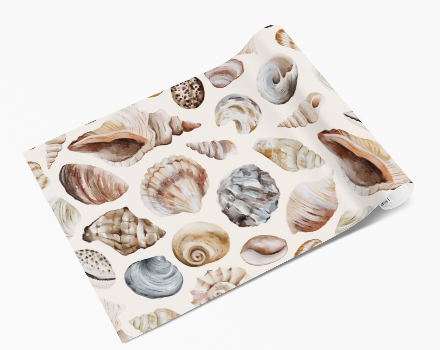 Sea Shells Conch Clam Mussel Self Adhesive Vinyl