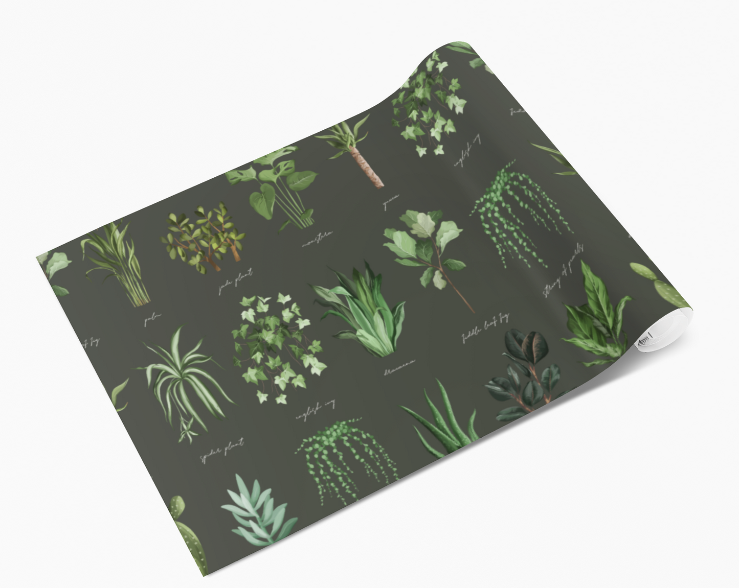 Dark Green Plant Names Identifier Chart Vinyl Furniture Wrap