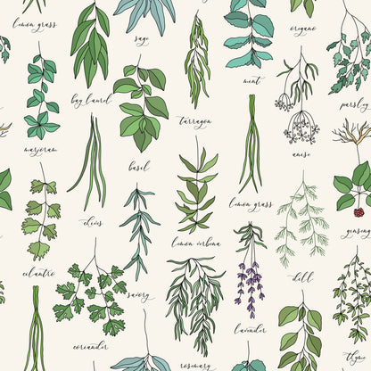 Colour Herbs Chart Self Adhesive Vinyl