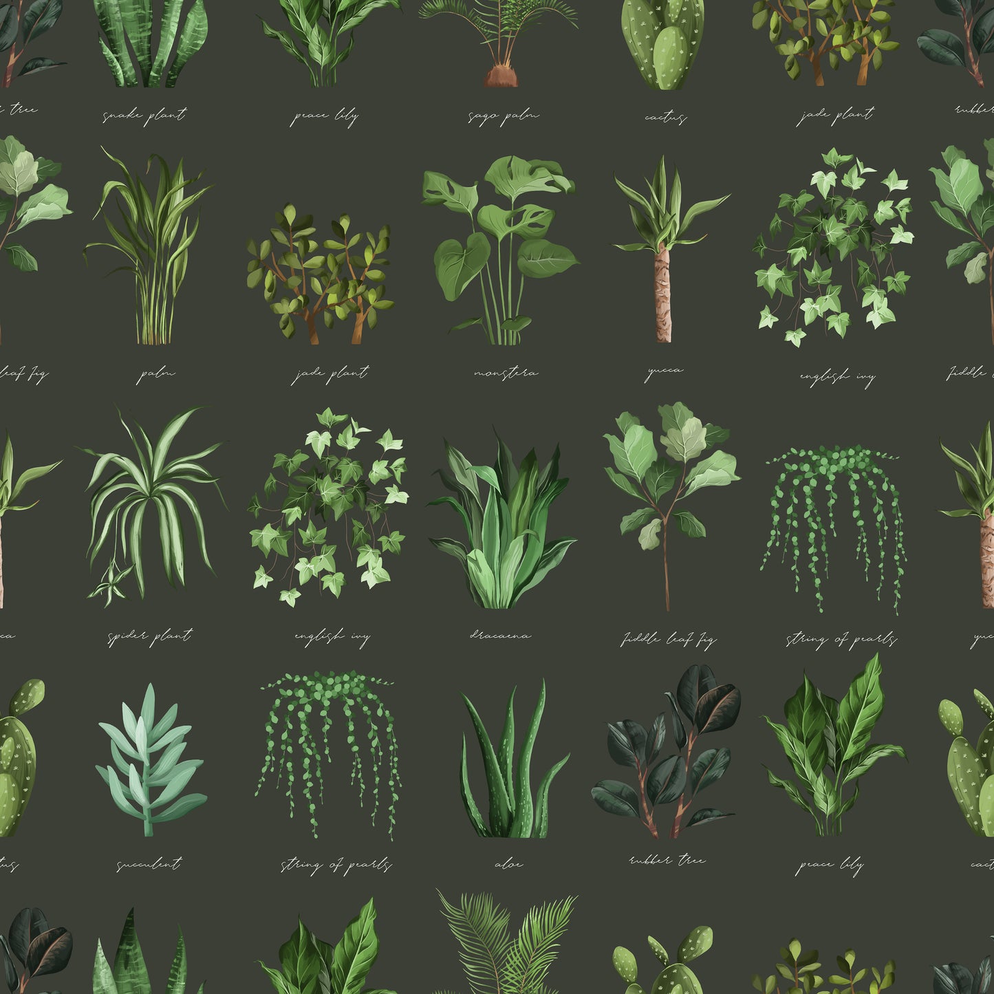 Dark Green Plant Names Identifier Chart Vinyl Furniture Wrap