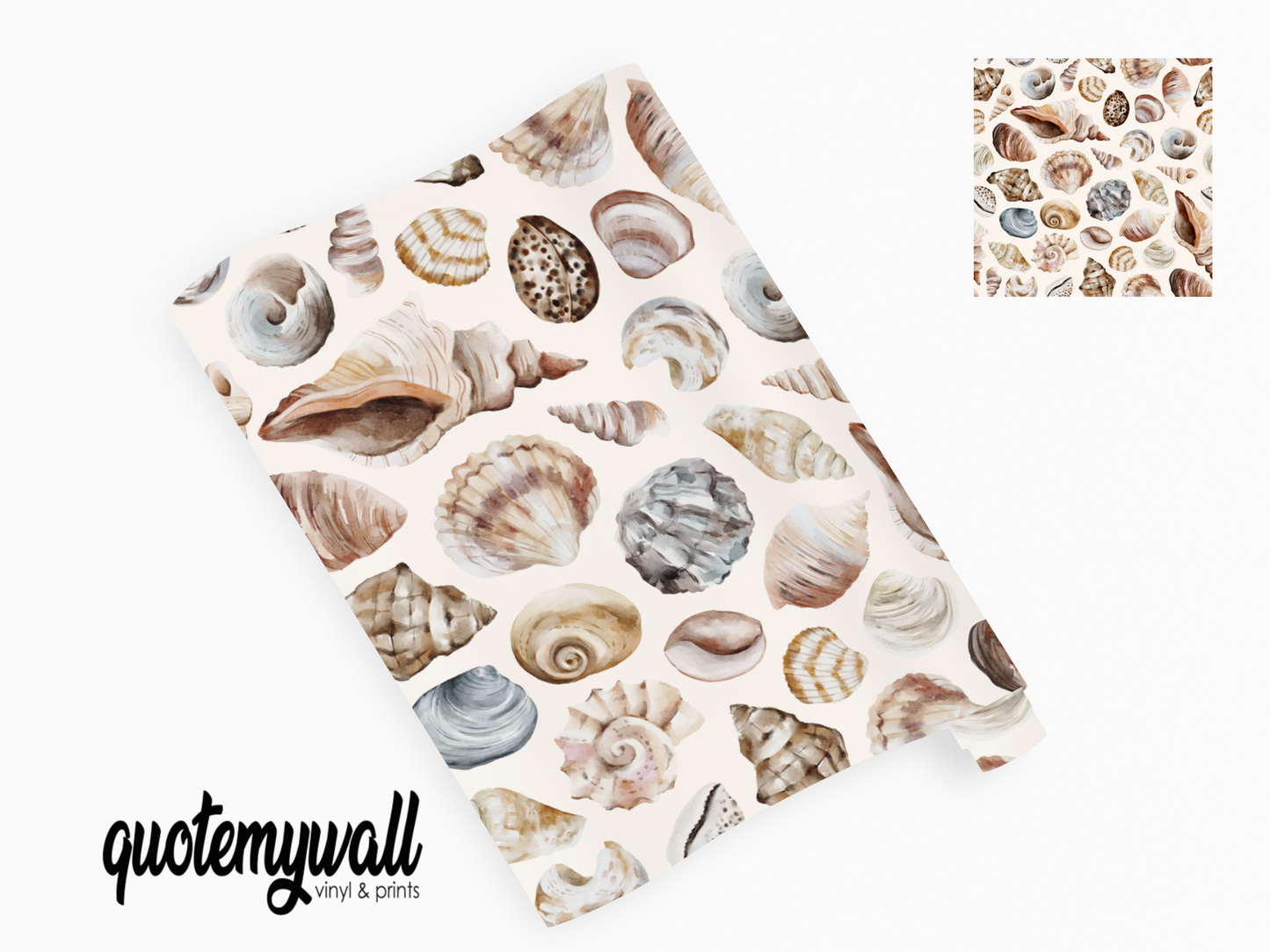 Sea Shells Conch Clam Mussel Self Adhesive Vinyl